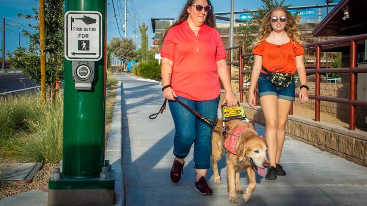 does the dc metro allow dogs