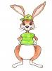 Jeremy Jackrabbit. Illustration.